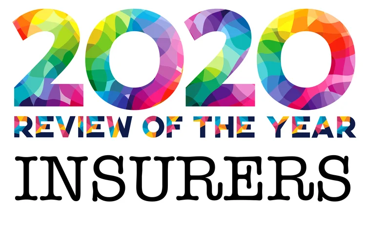 Review of the Year Insurers