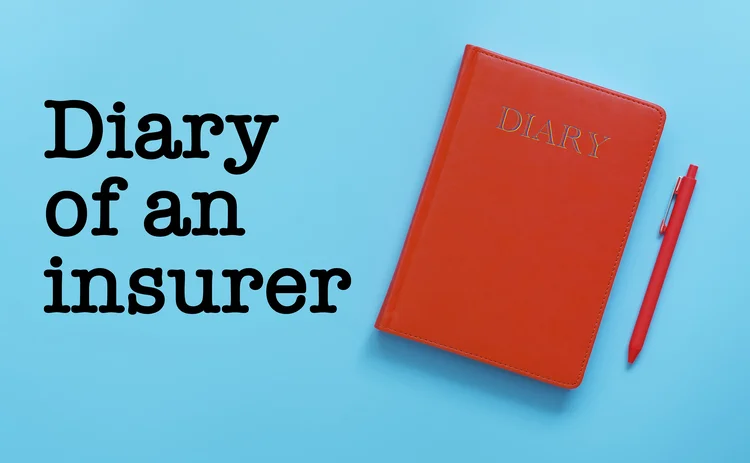 Diary of an insurer logo