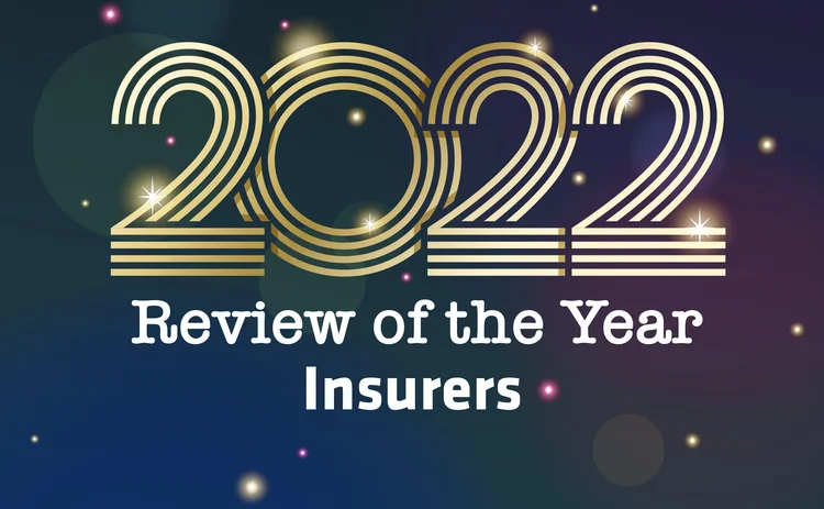 Review of the year 2022 insurers