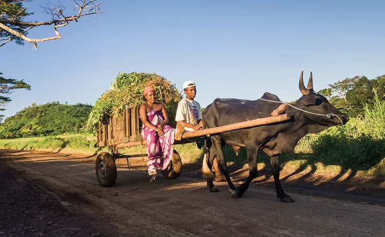 rural-farming-africa