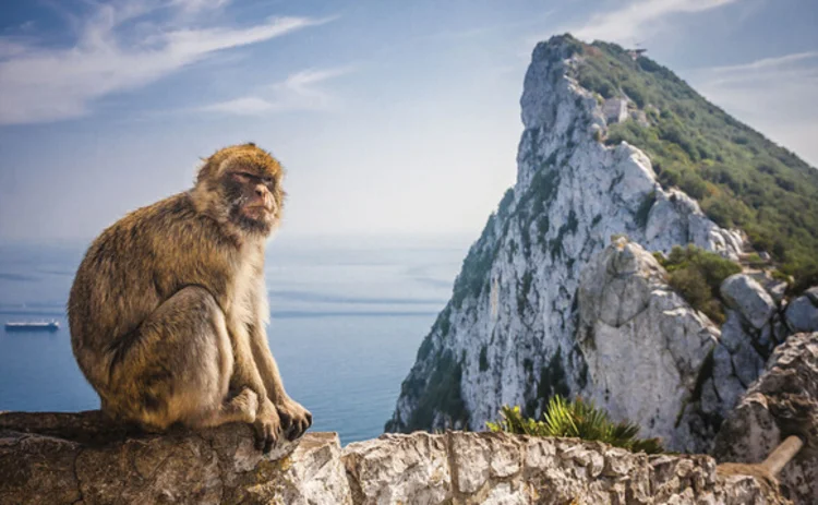 gibraltar-rock-with-barbary-macaque