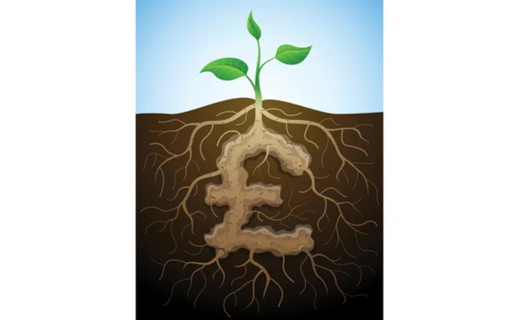 illustration of money plant growing from the soil