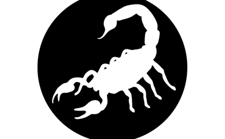 black-scorpion-logo