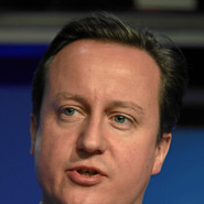David Cameron at the World Economic Forum annual meeting in Davos 2010