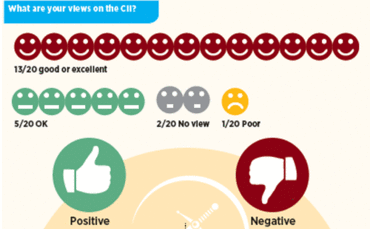 Views on the CII Views on the CII