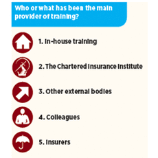 Main training providers