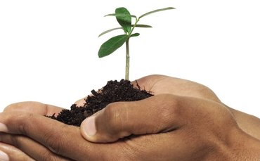 SME growth SME growth