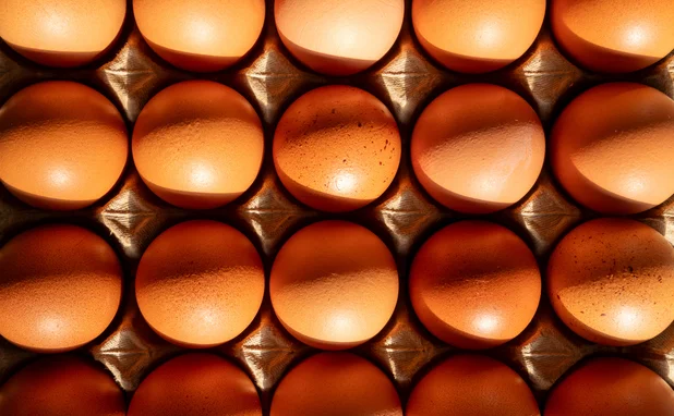 Fresh brown chicken eggs in a cardboard crate tray under warm natural sunlight, top view