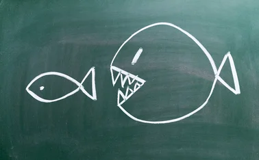 Mergers and acquisitions