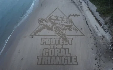 Boycott Bloody Insurance's 90m-long mural in Cayton Bay, North Yorkshire, artist Fred Brown