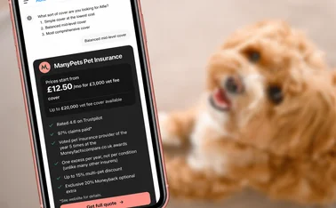 ManyPets ChatGPT launch