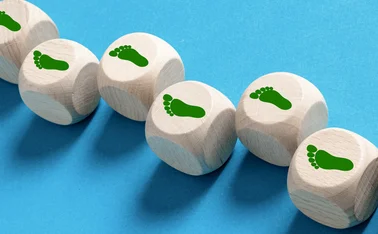 Net zero green footprint