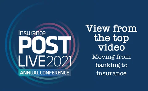 View from the Top Tara Foley