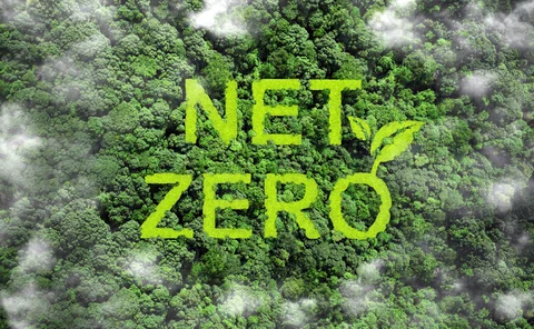 Net zero and carbon neutral concept.Net Zero text on green grass with forest for net zero greenhouse gas emissions target Climate neutral long term strategy on a green background. Carbon Neutrality.