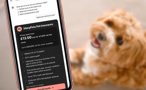ManyPets ChatGPT launch