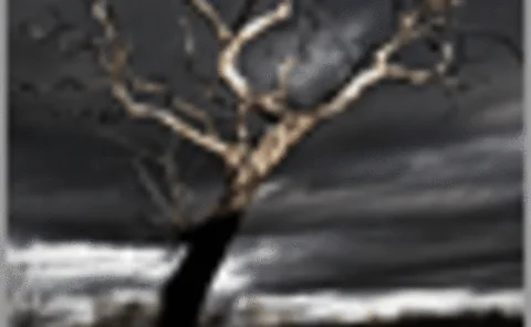 post-071108-supp-04-gif