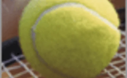 pst-061130-supp1-08-gif