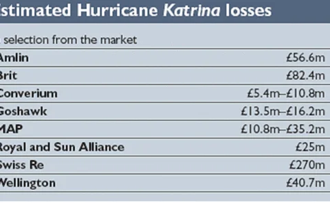 pg-2-katrina-losses-gif