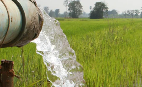 Water pipe spilling onto a green field