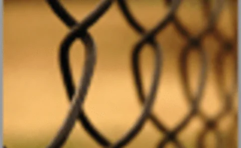 post-071108-supp-03-gif