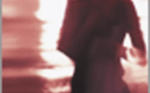 pst-061130-supp1-02-gif