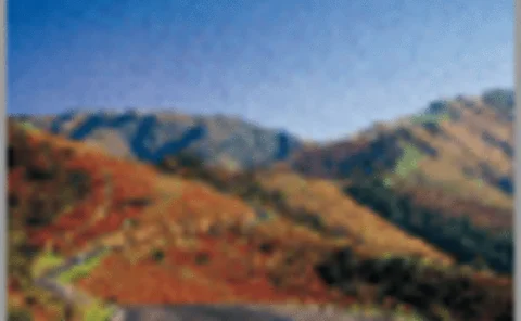 post-081204-supp-06-gif