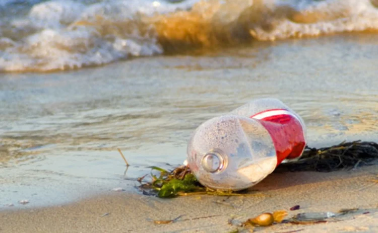 Plastic bottle polluting a beach