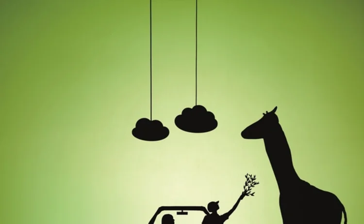 swinton-advert-giraffe