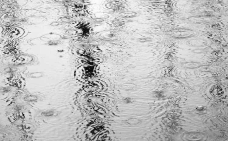 puddle-rain