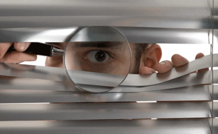 investigator-through-blinds