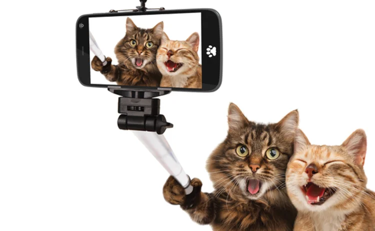 cat-selfie
