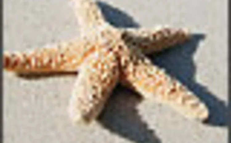 starfish_jpg