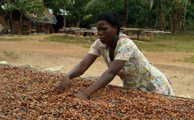A cocoa farmer in Ghana