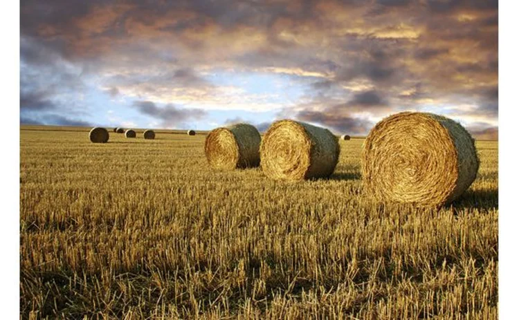 hay-field-at-sunset-row-of-three-rolled-bales-against-dramatic-cloudy-sky-diminishing-perspective