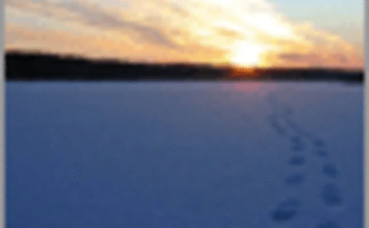 post-071129-supp02-06-gif