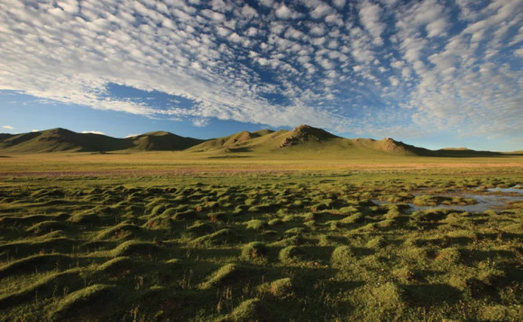 A view of the Mongolian steppe