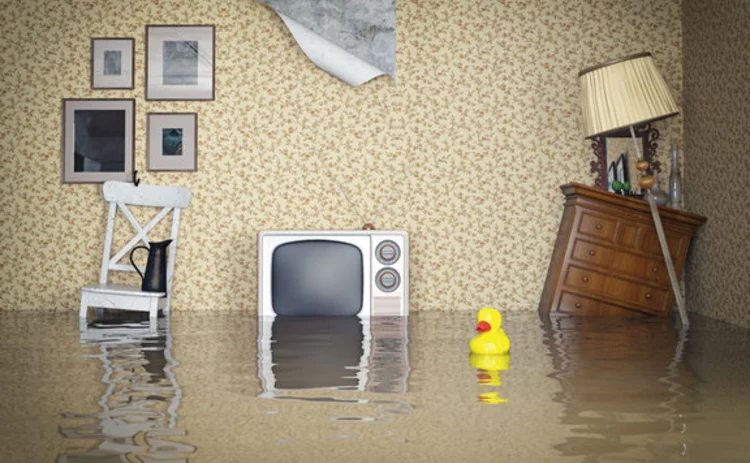 A flooded living room with a rubber duck in the middle of it