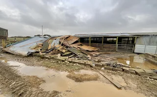 storm eowyn damage in NI