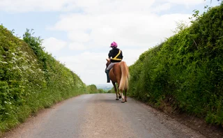 Young woman and her pony riding away over the brow of a hill into the distance.