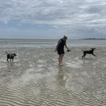 Paula Robinson beach and doggos
