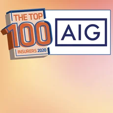 Top 100 Top 10 AIG