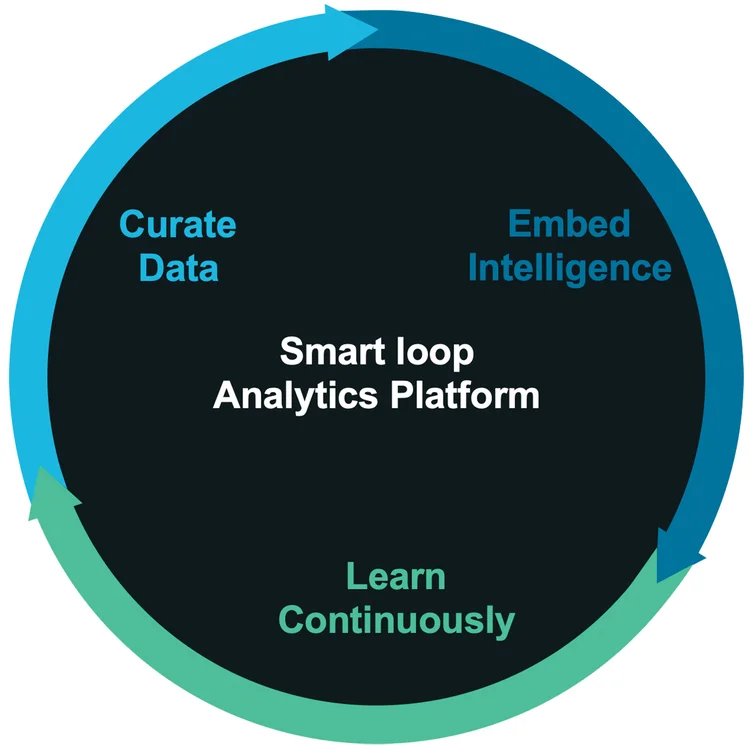 Smart Loop Analytics Platform[