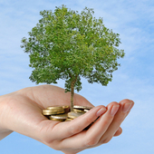 investment-pot-money