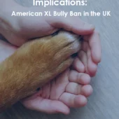 Pet insurance implications: American XL Bully Ban in the UK